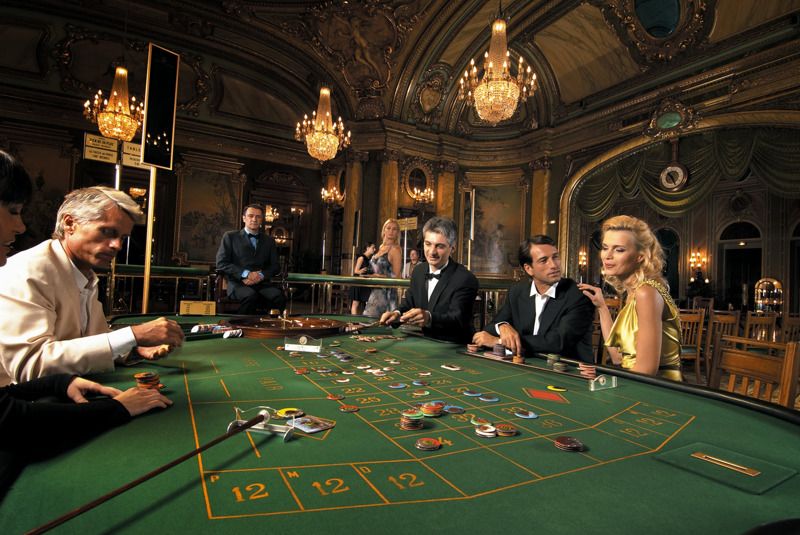 bajibets Live Betting