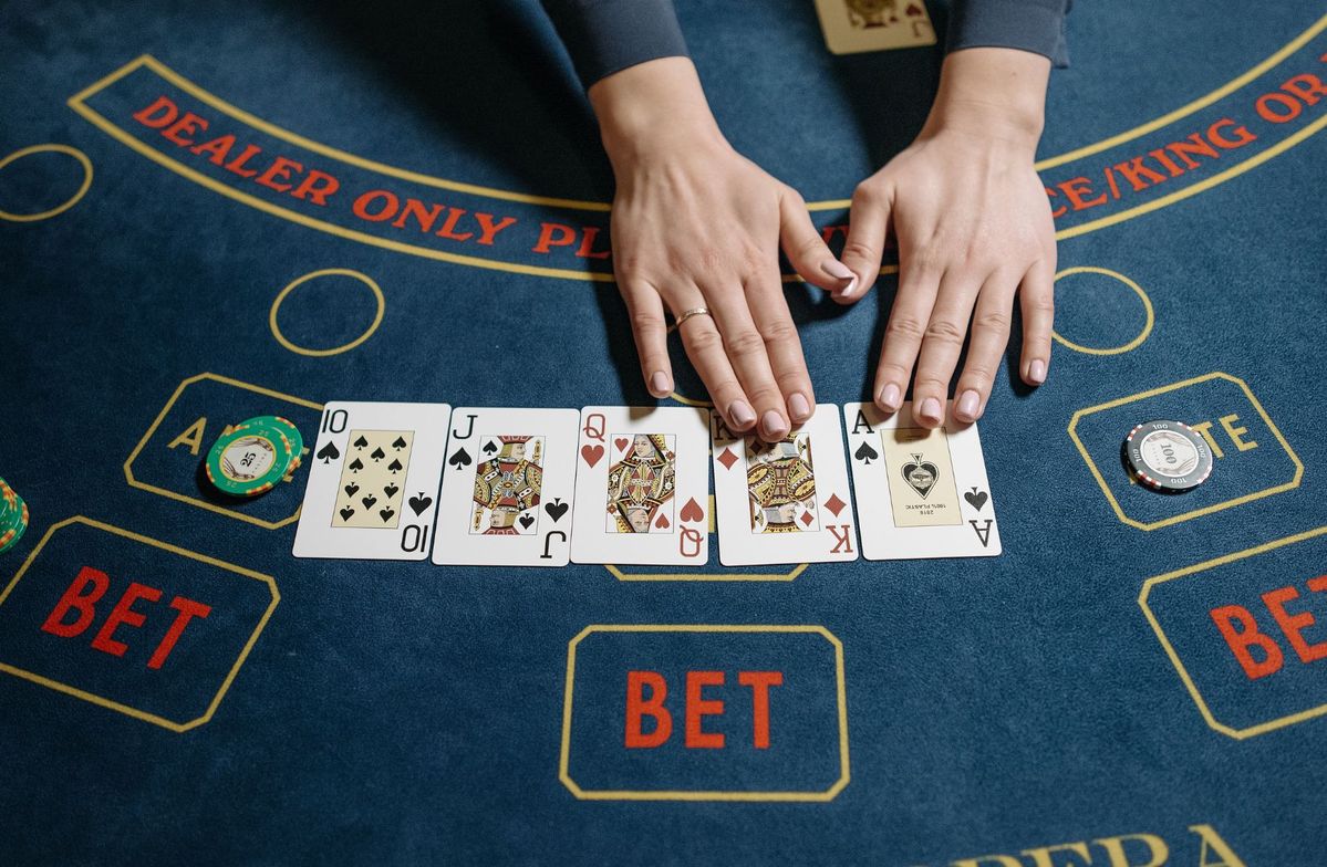 bajibets Live Betting